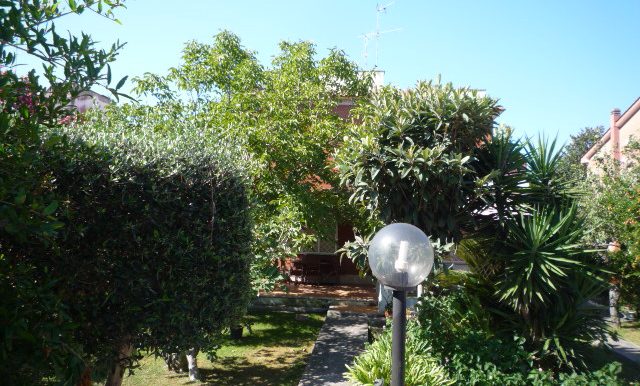 P1100578
