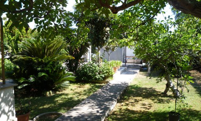 P1100579